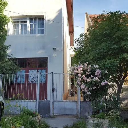 Carpati Appartement Timişoara